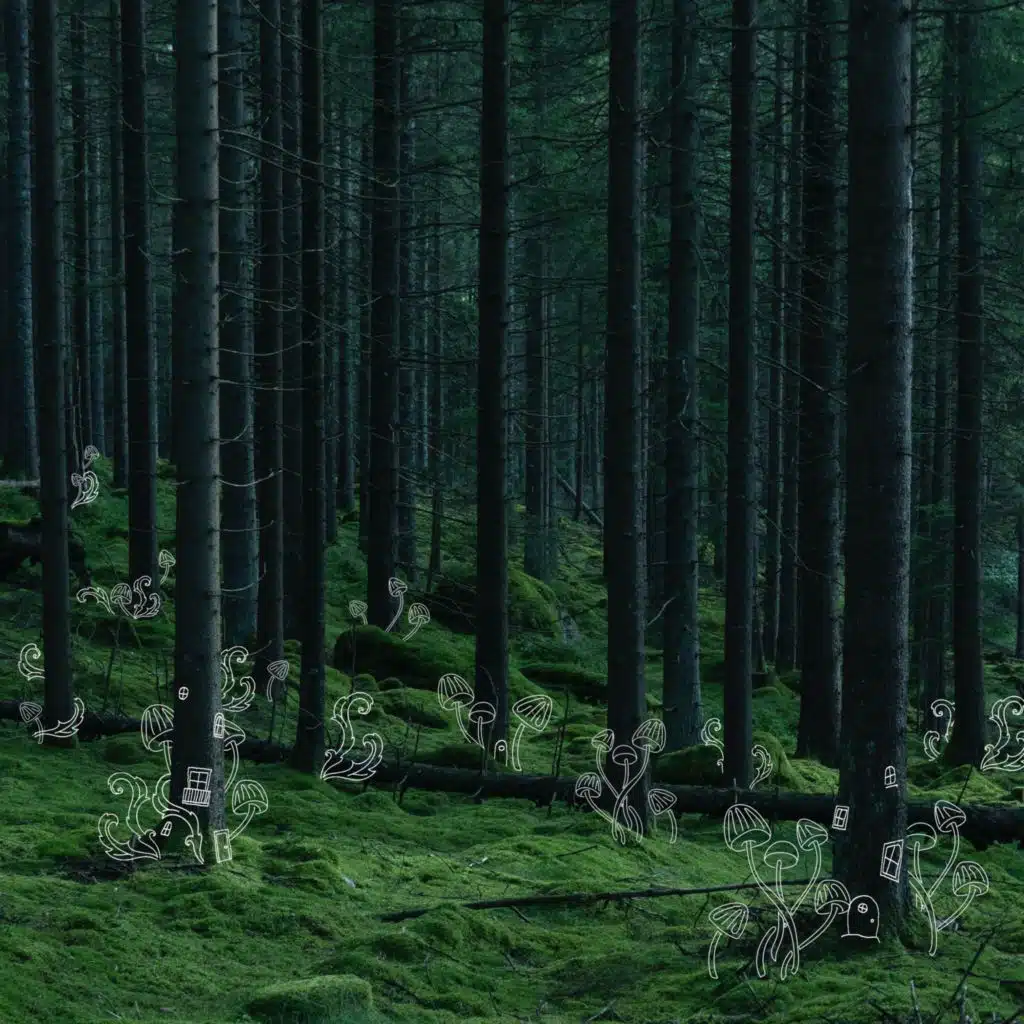 header-image