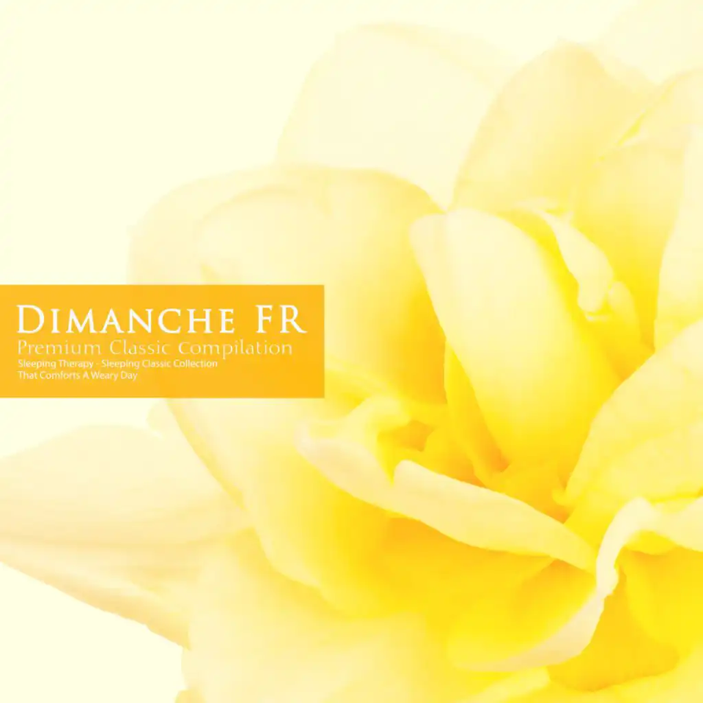 artist-header-image