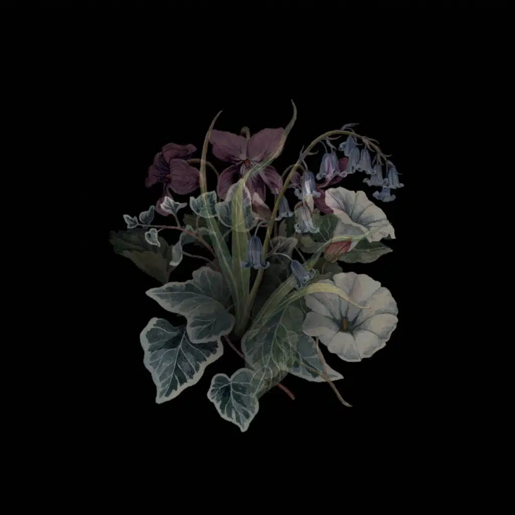 artist-header-image