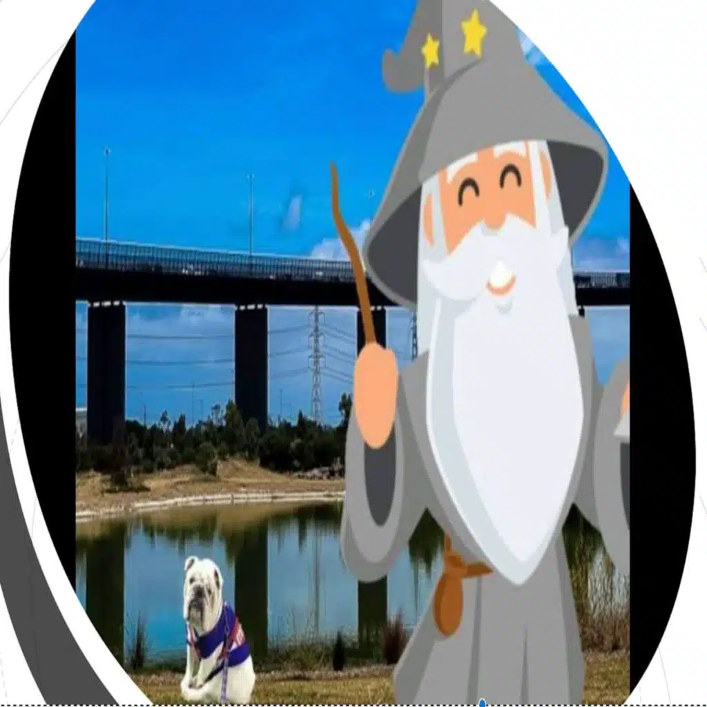 header-image