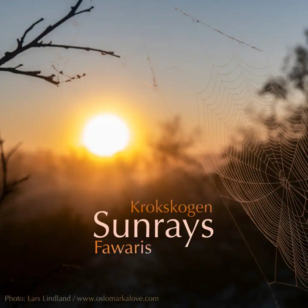 header-image