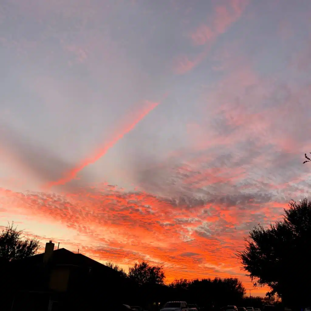 header-image