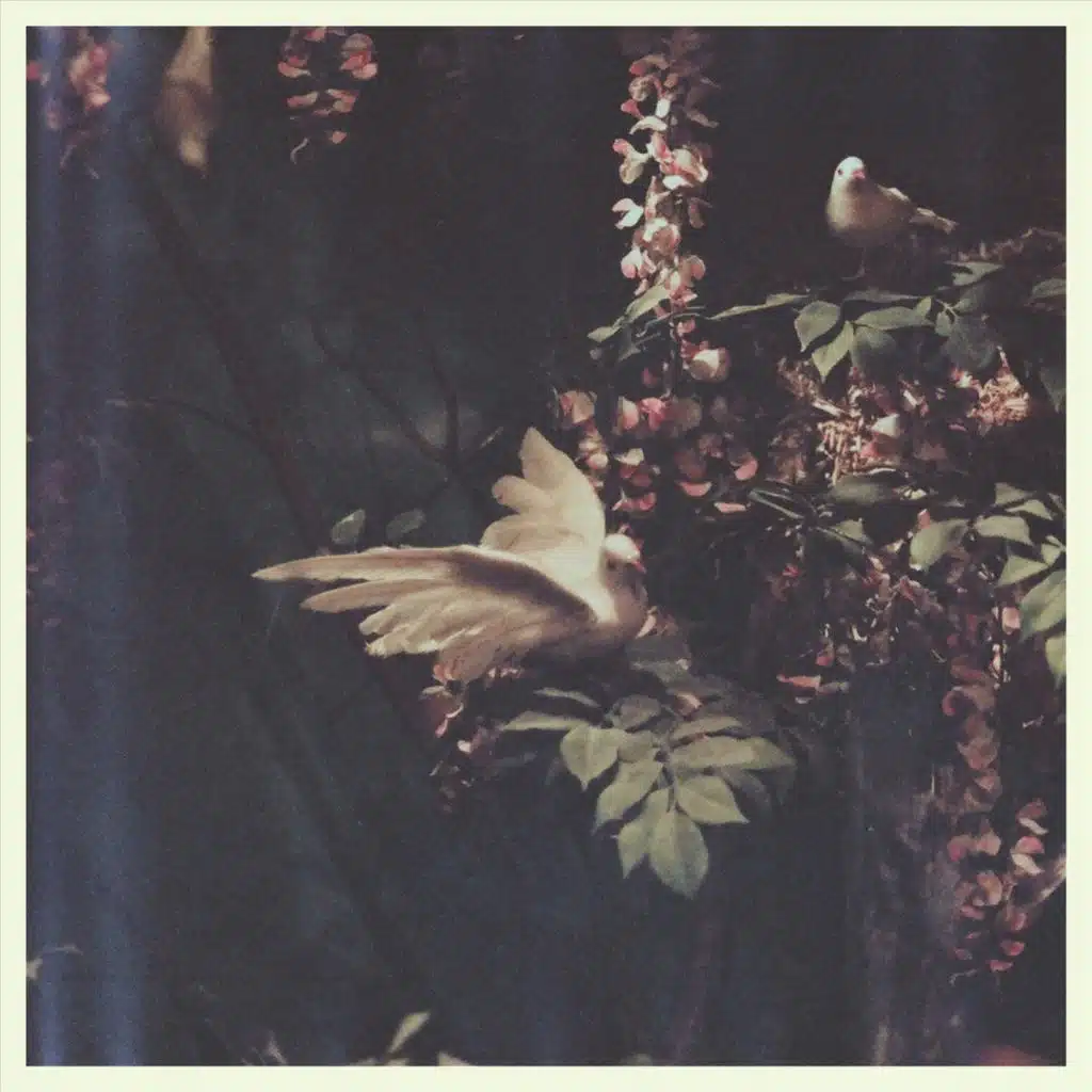 artist-header-image