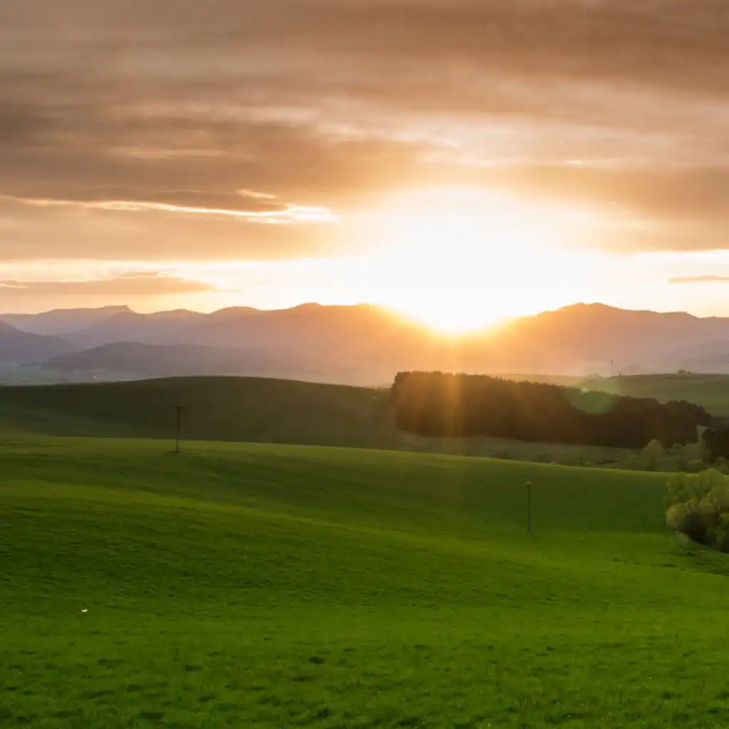 header-image