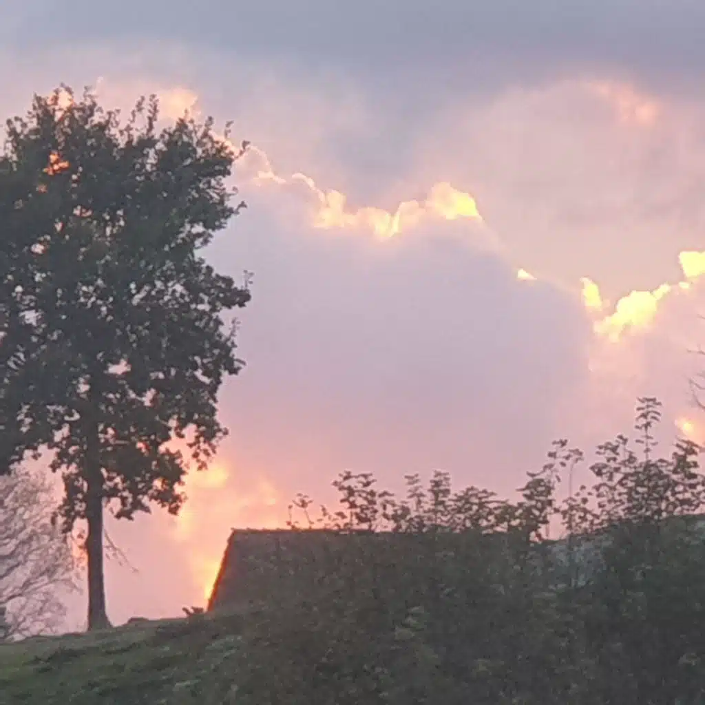 header-image