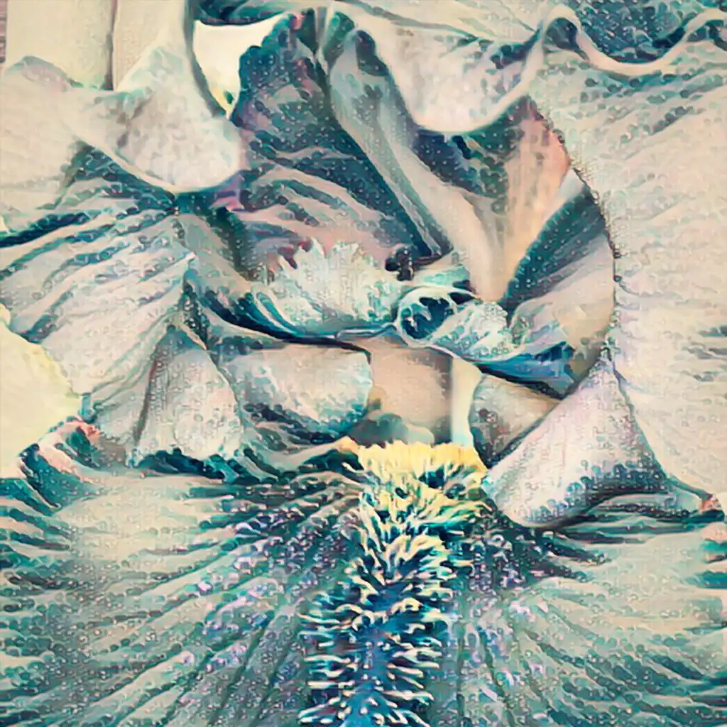 artist-header-image