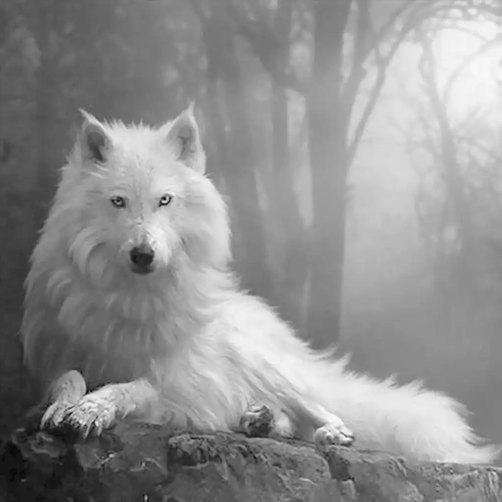 white wolf spirit