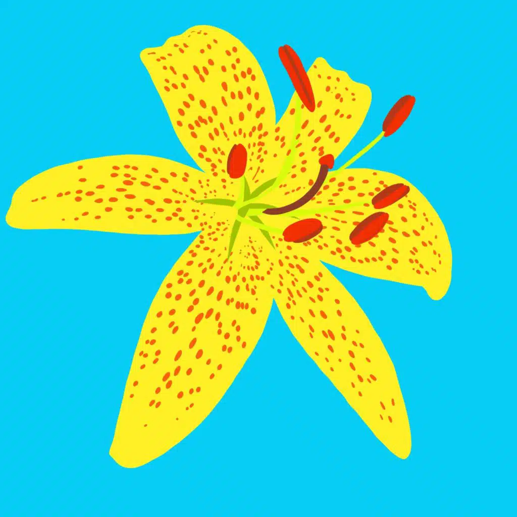 artist-header-image