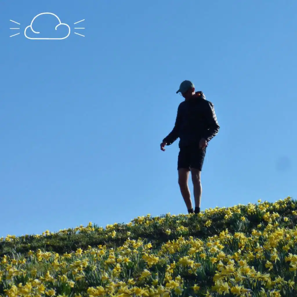 header-image