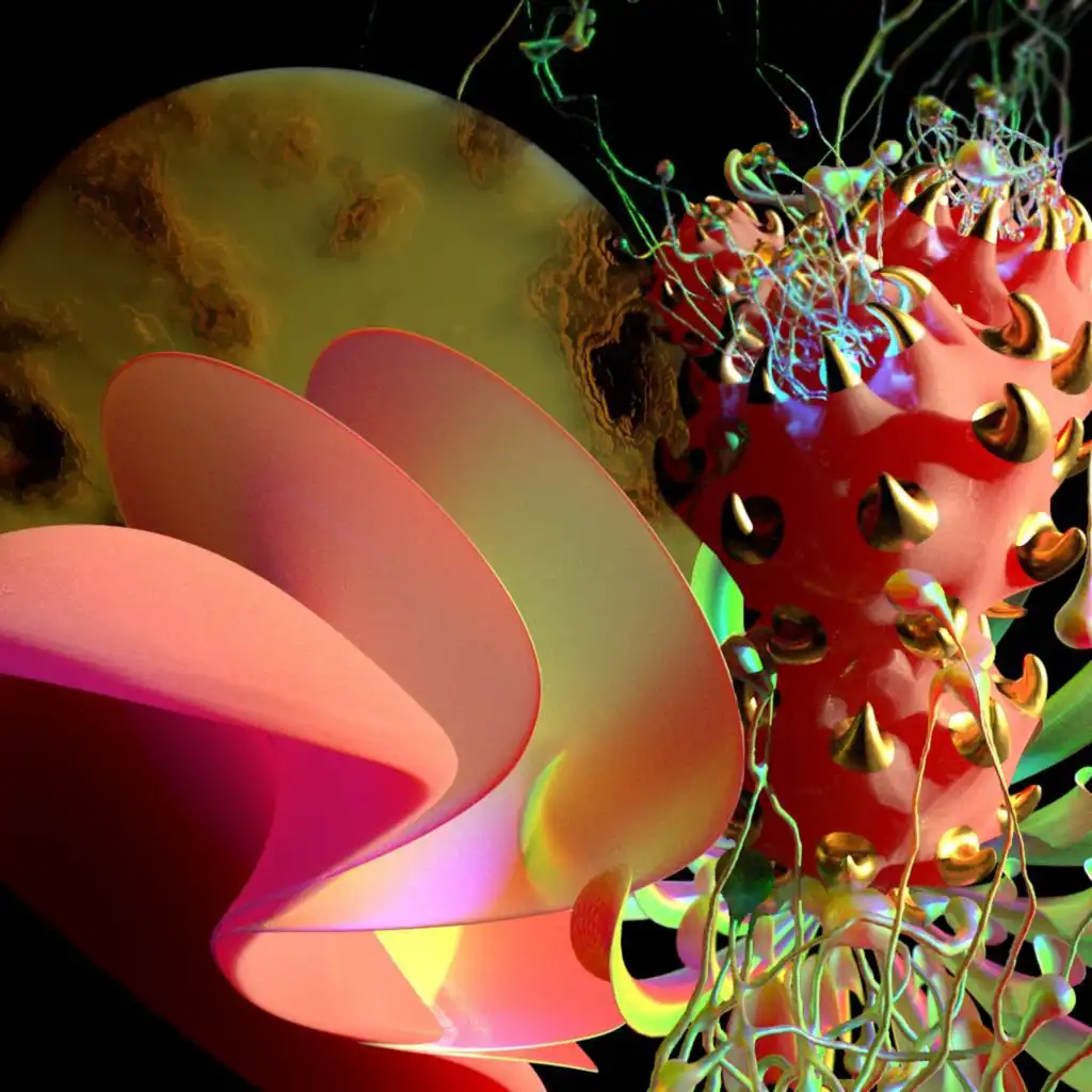 header-image