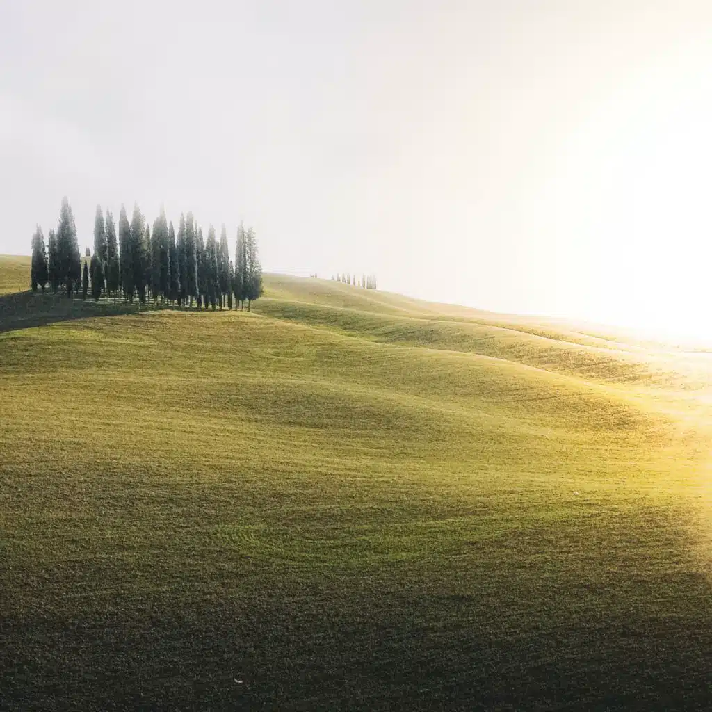 header-image