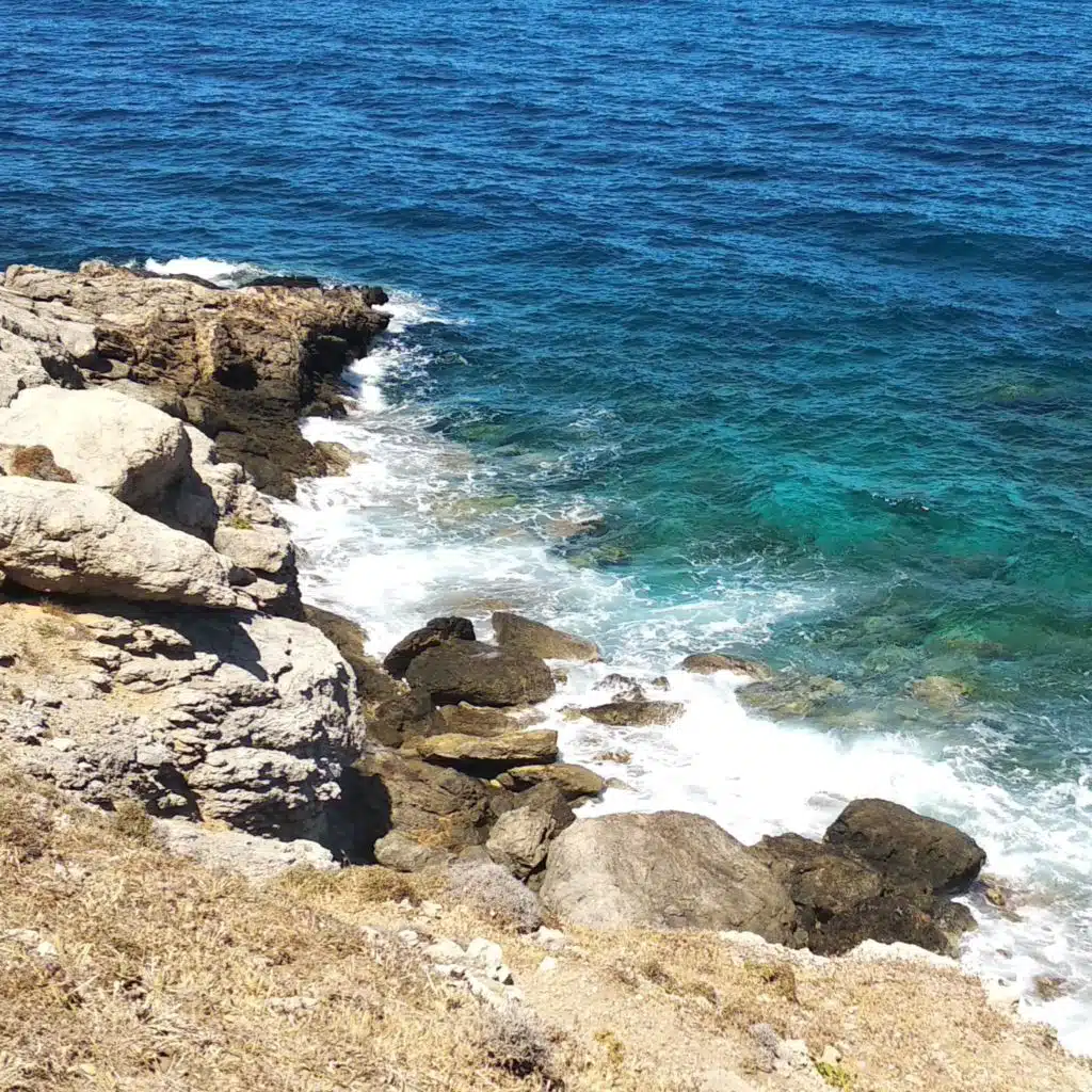 header-image