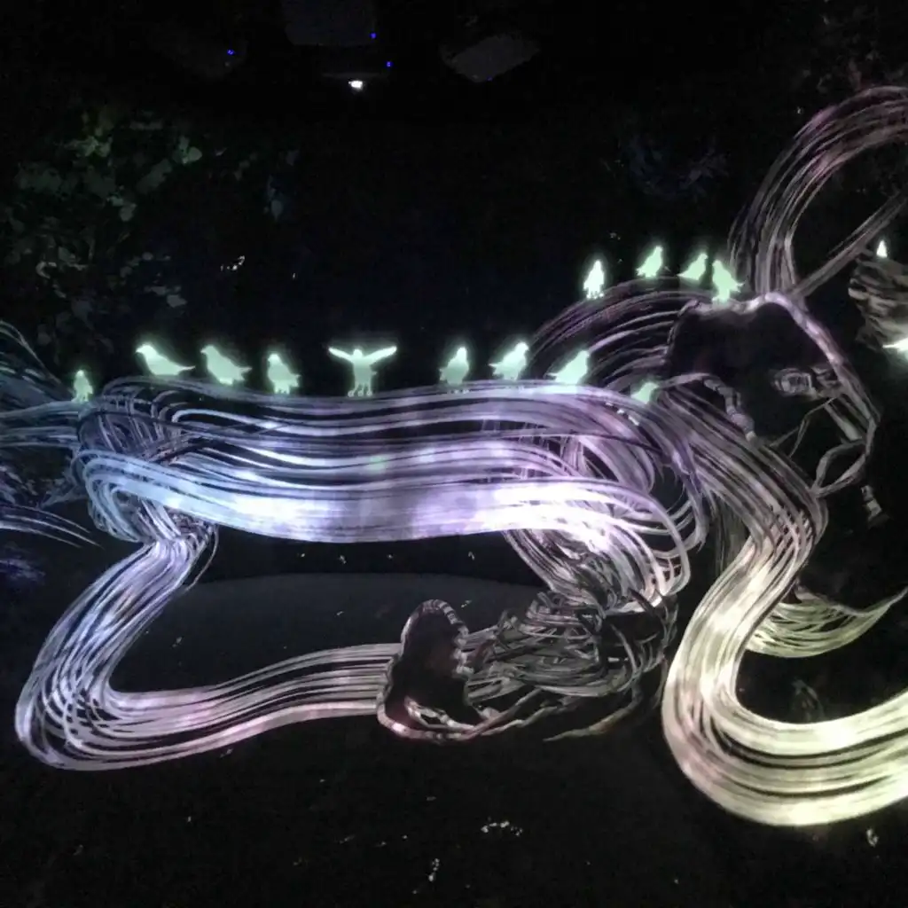 artist-header-image