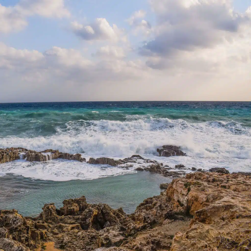 header-image