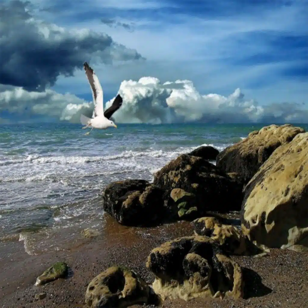 header-image