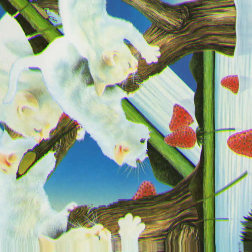 header-image