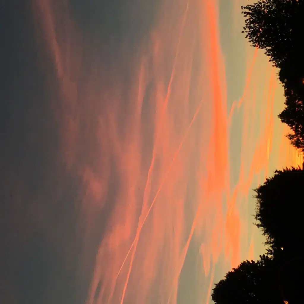 header-image
