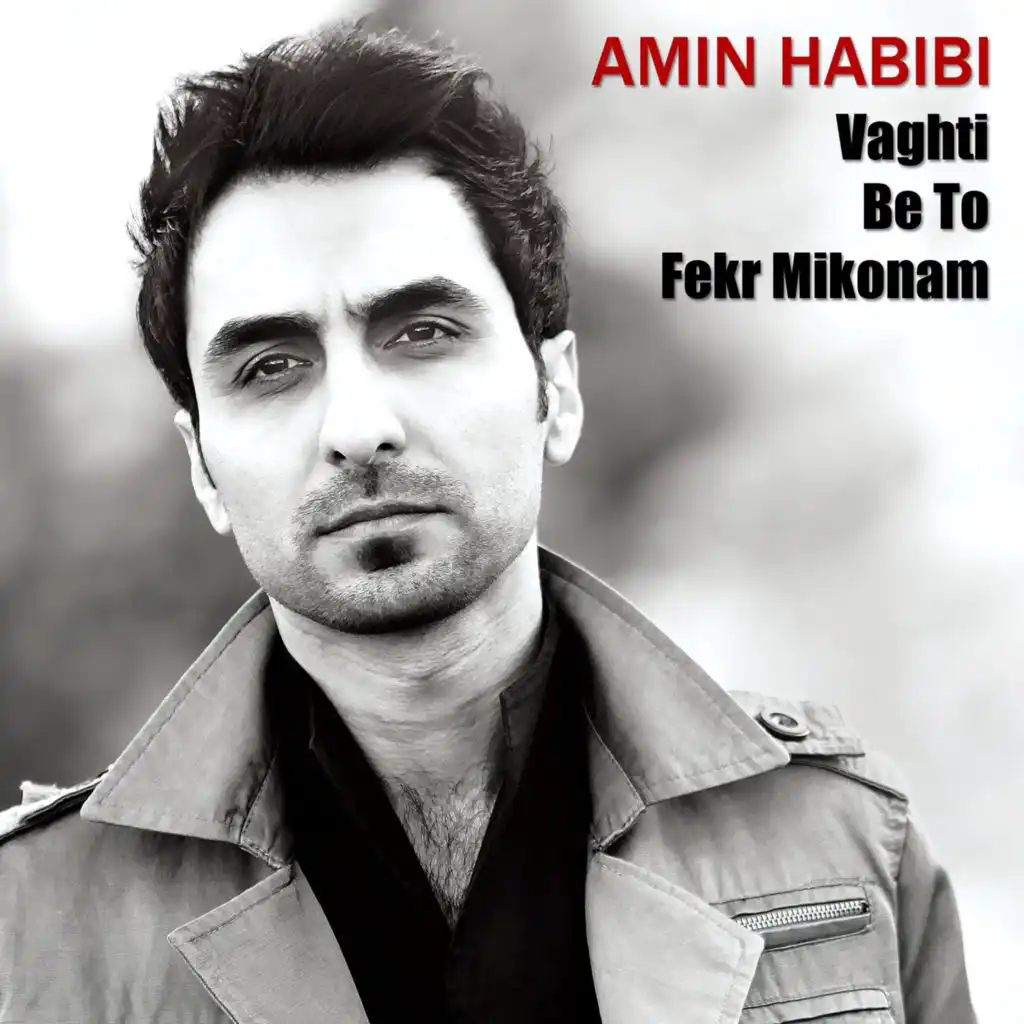 Amin Habibi - Bigharar | Play On Anghami