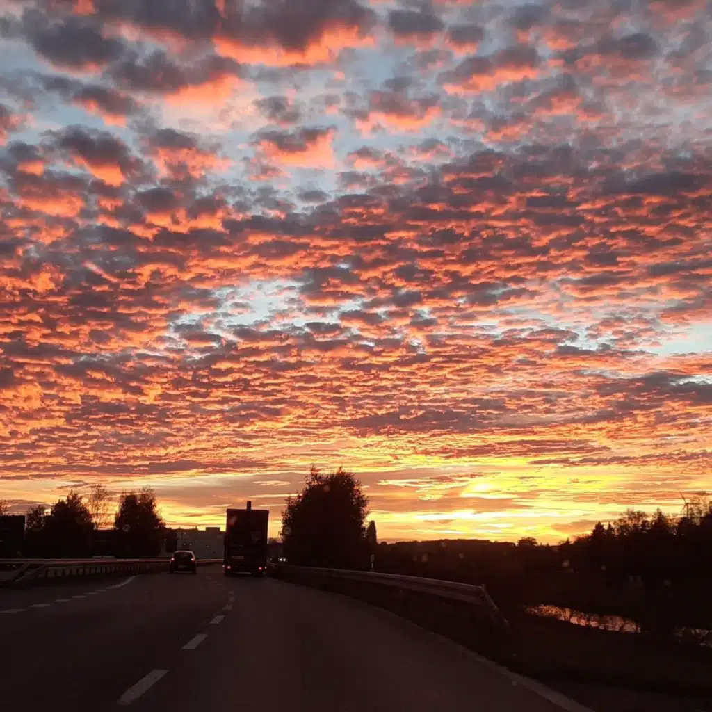header-image