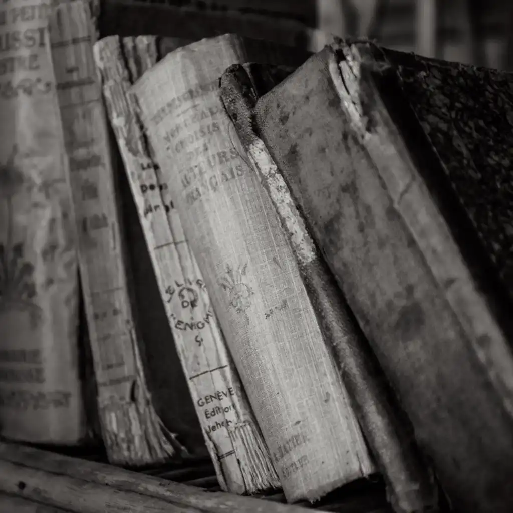 header-image