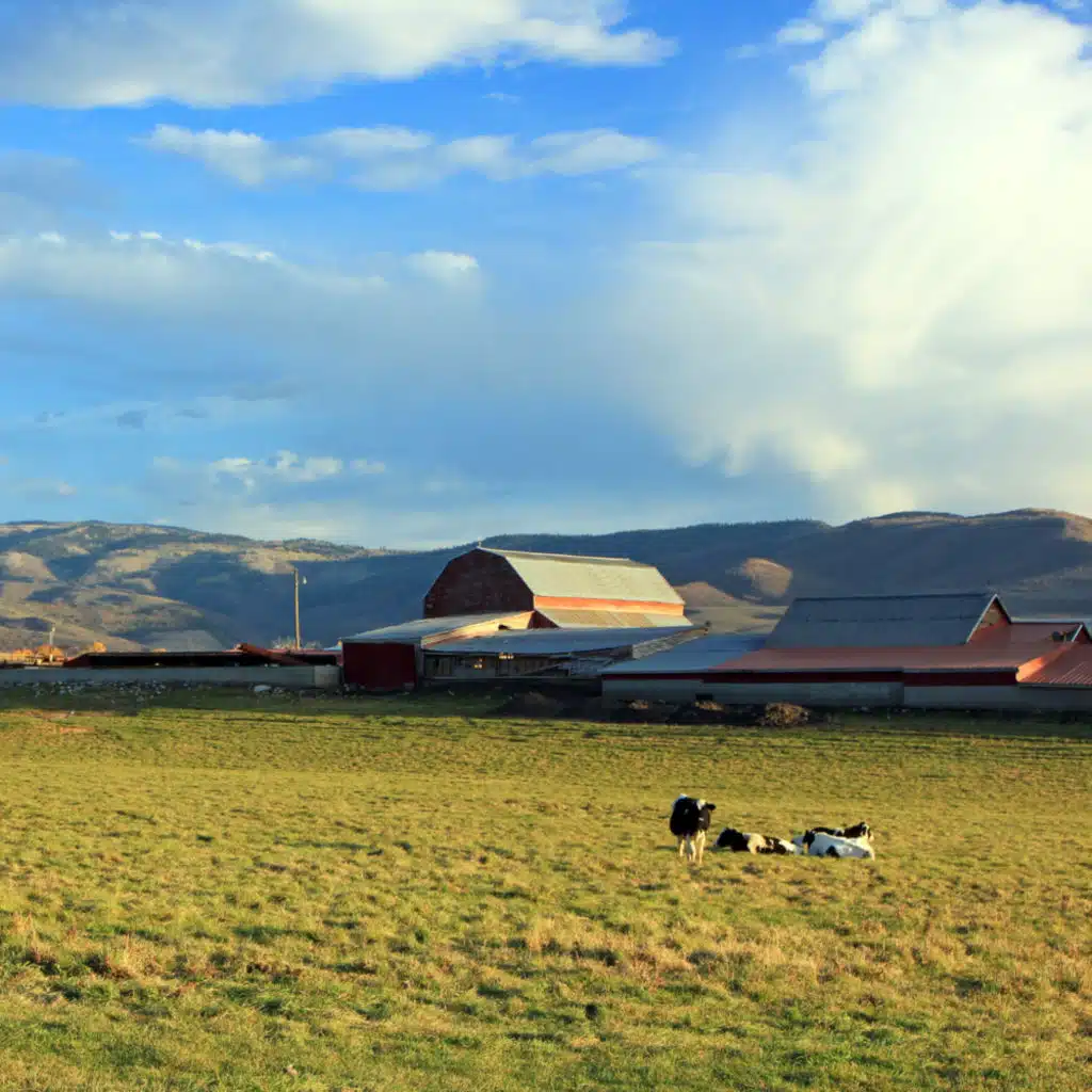 episode-header-image