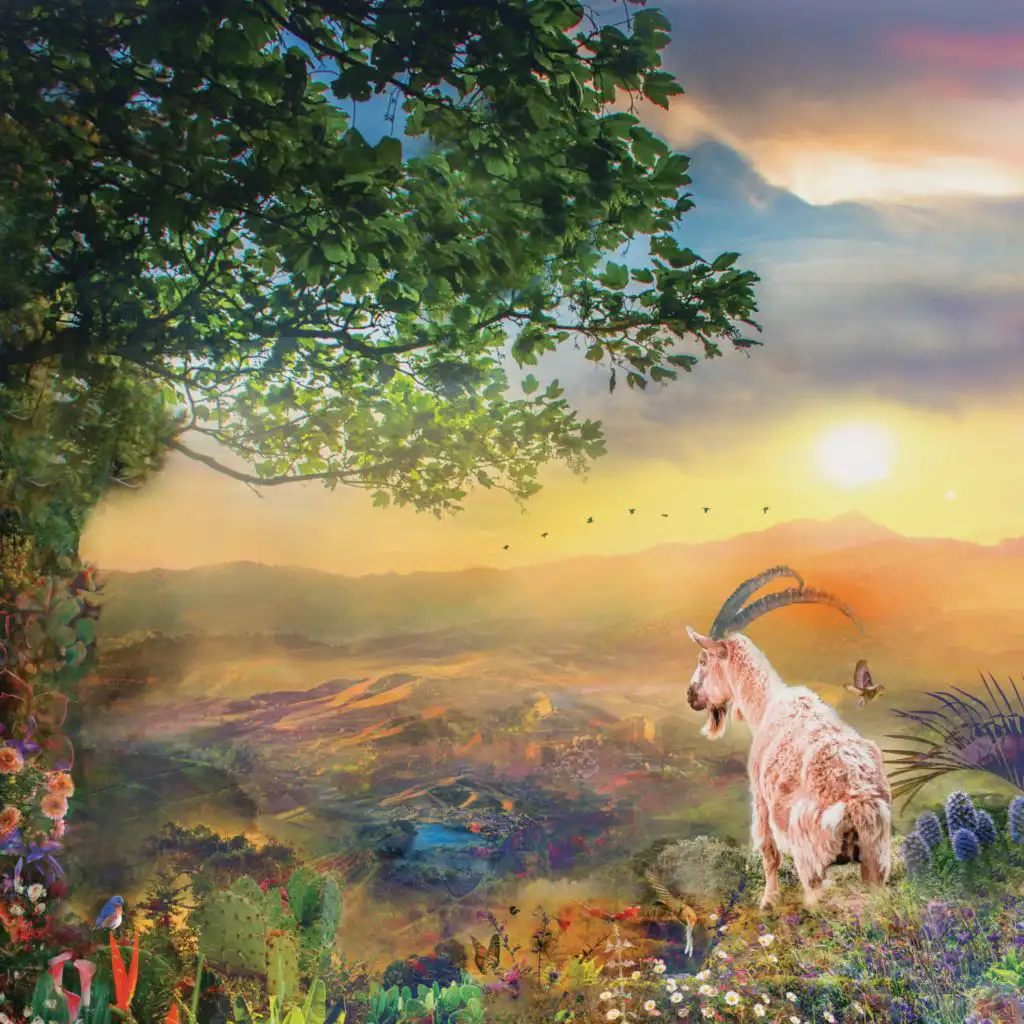 artist-header-image