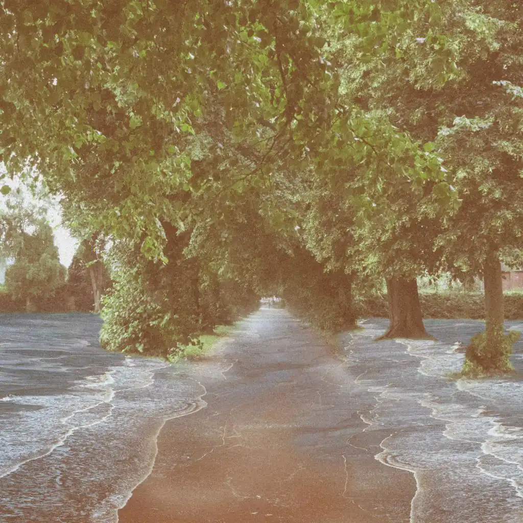 artist-header-image