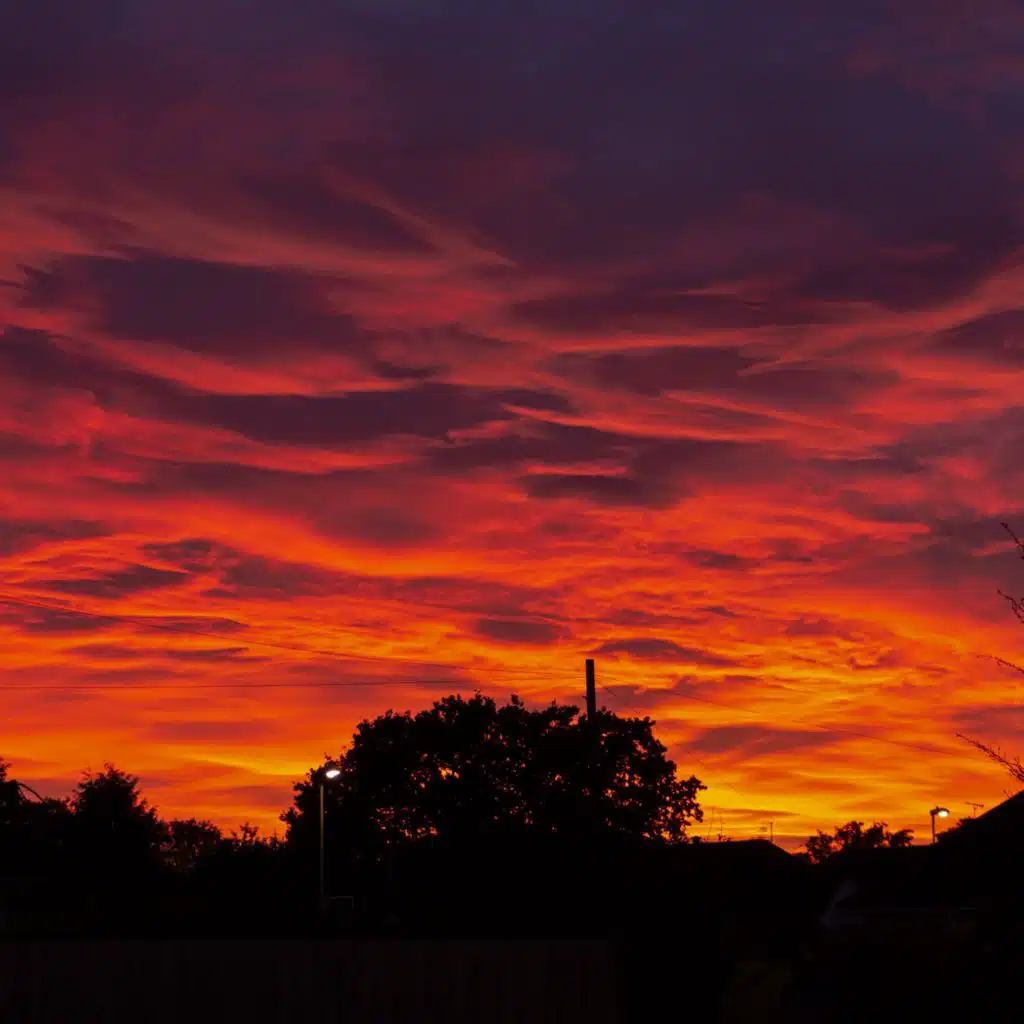 header-image