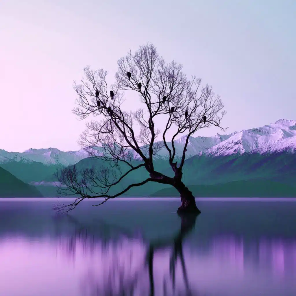 artist-header-image