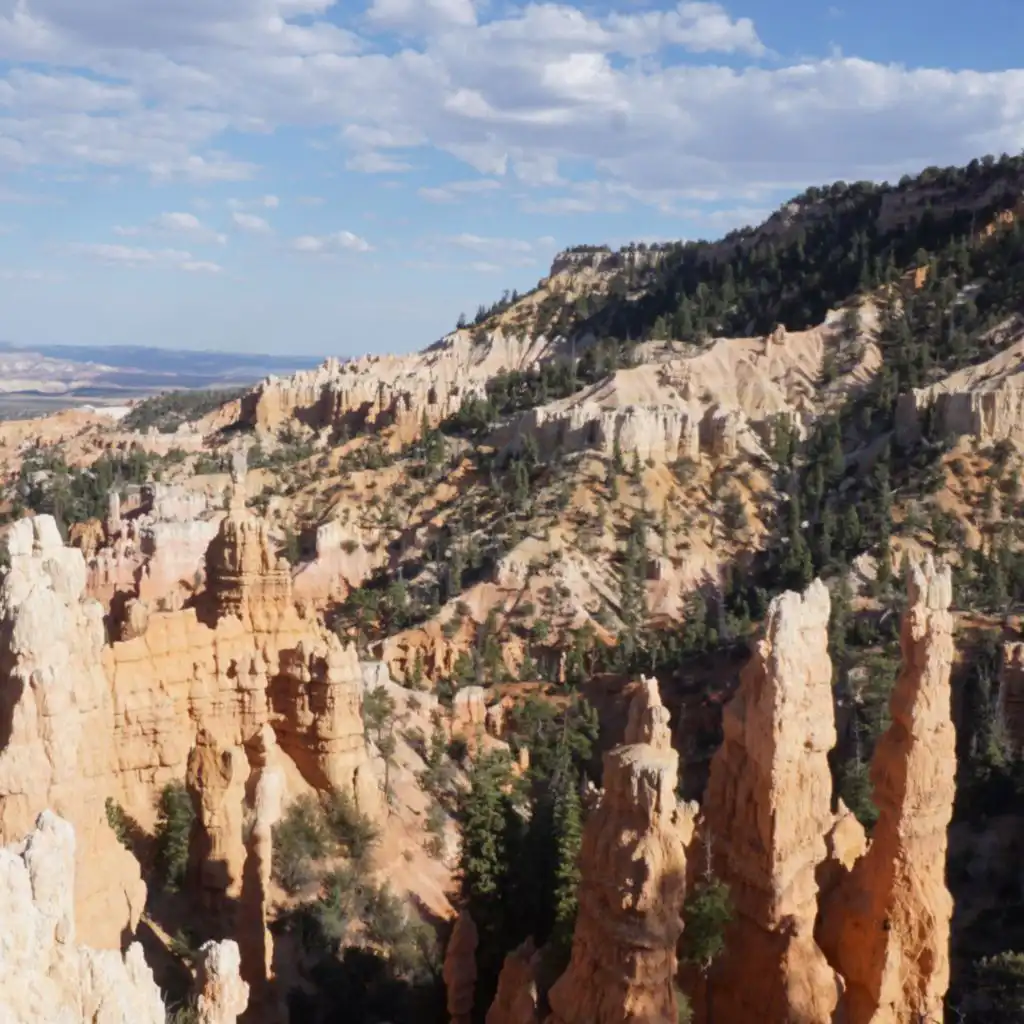header-image