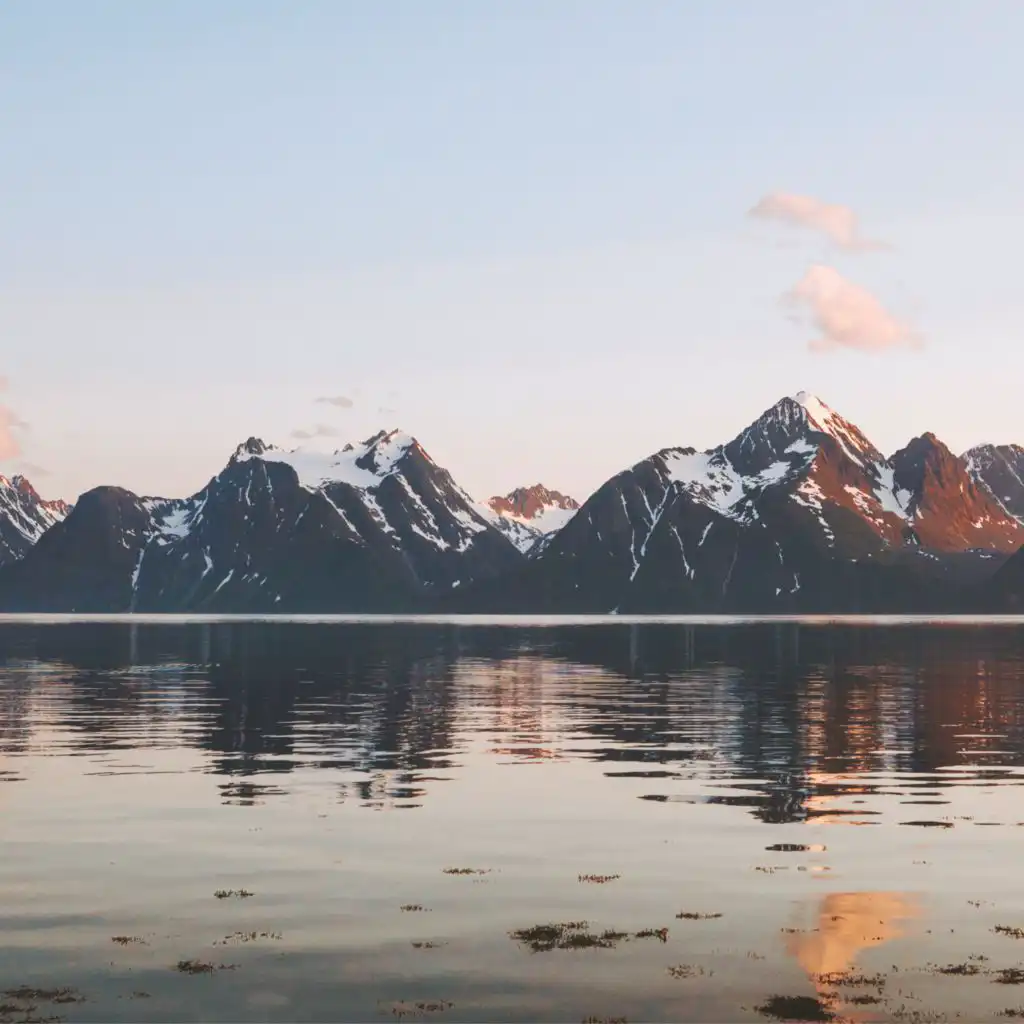 header-image