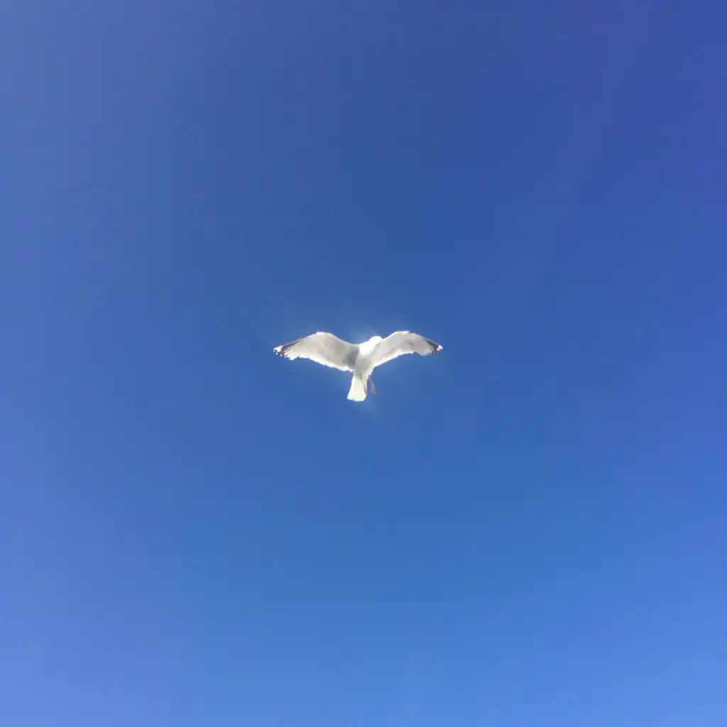 header-image