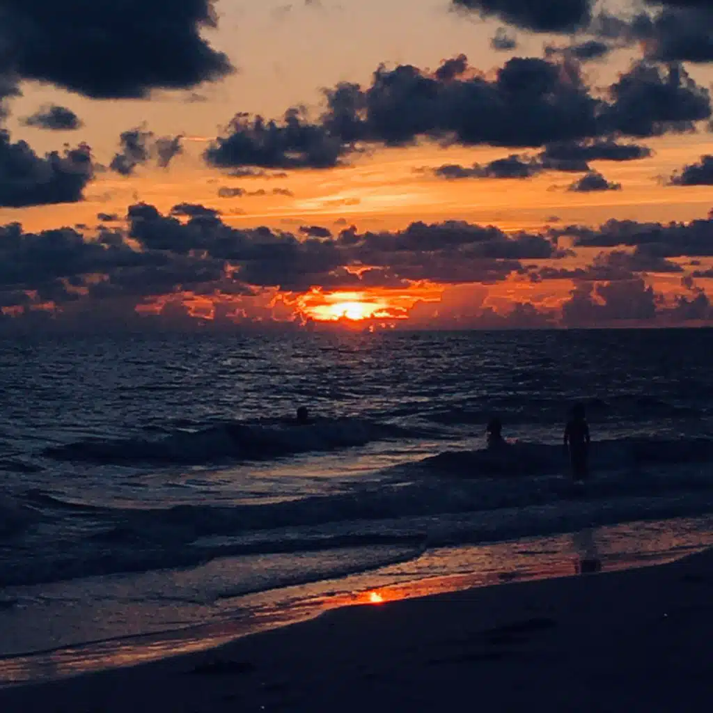 header-image