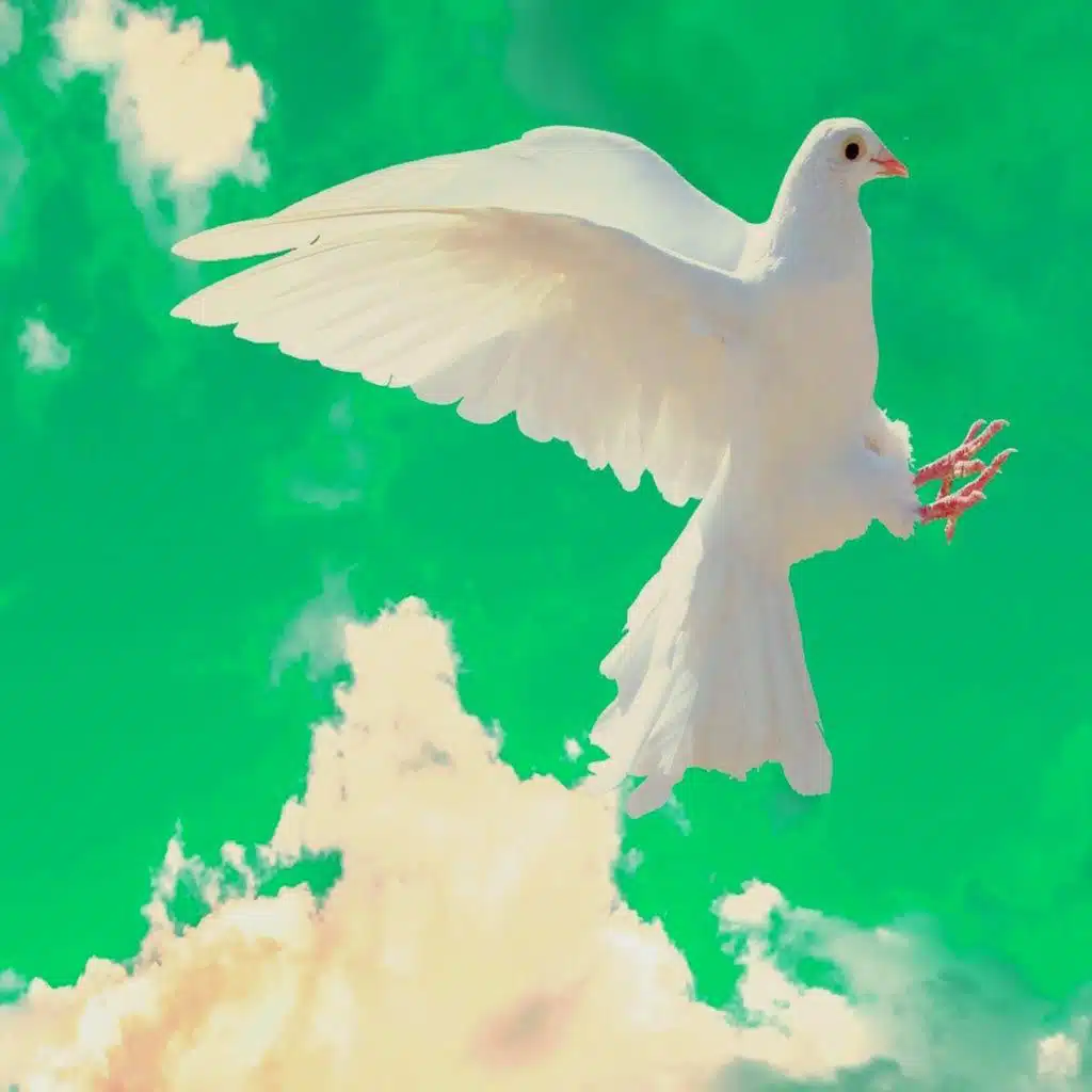 header-image
