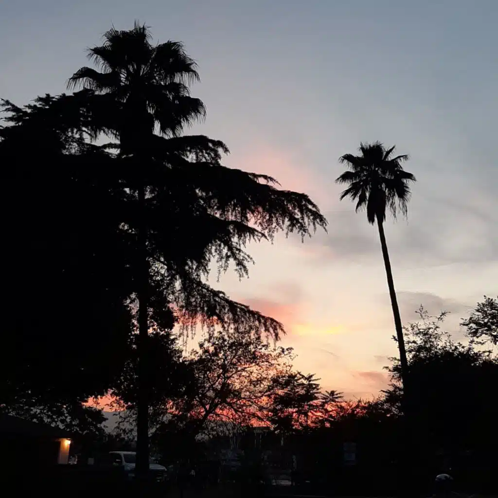 header-image