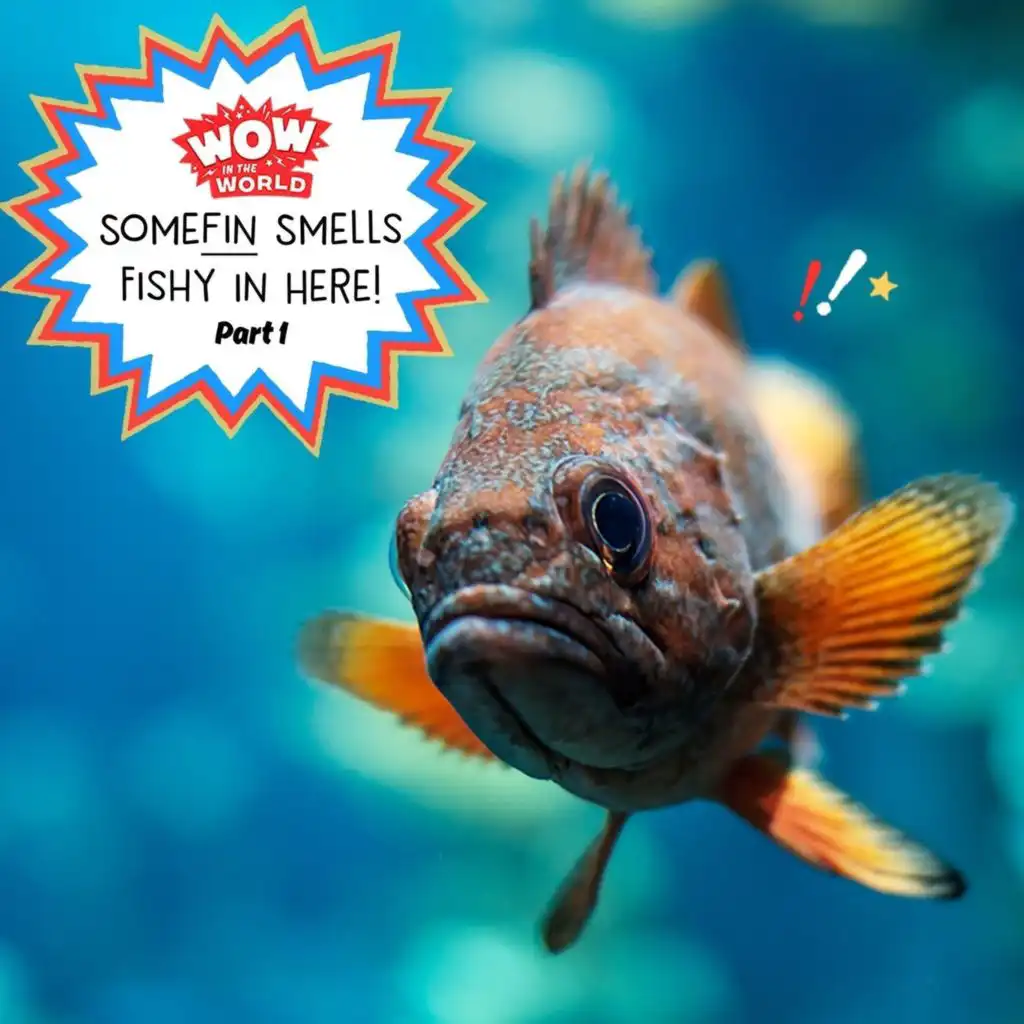 episode-header-image
