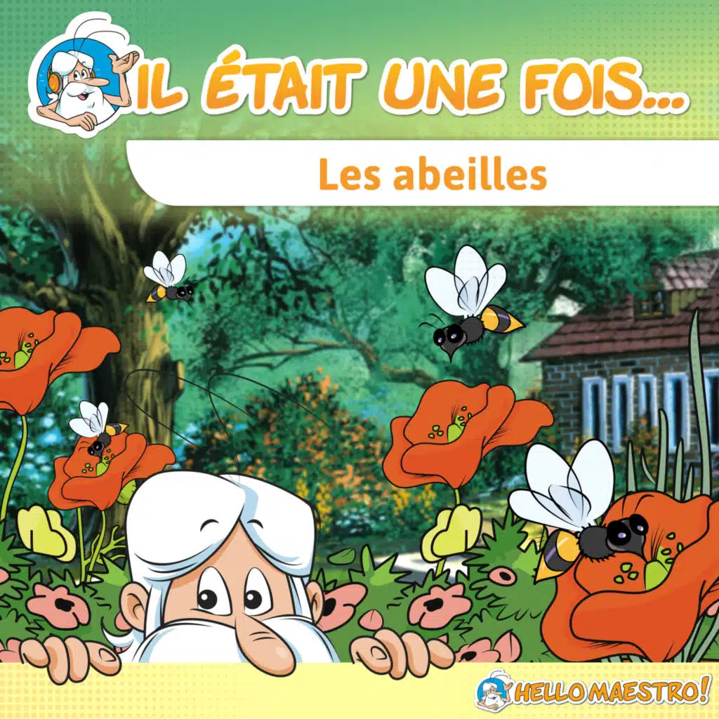 header-image