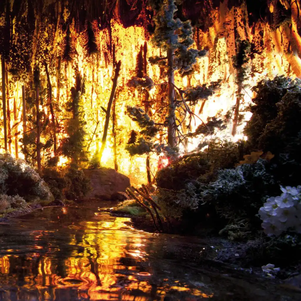 artist-header-image