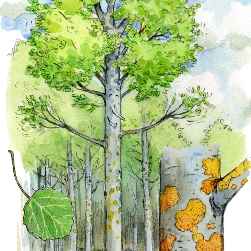 artist-header-image