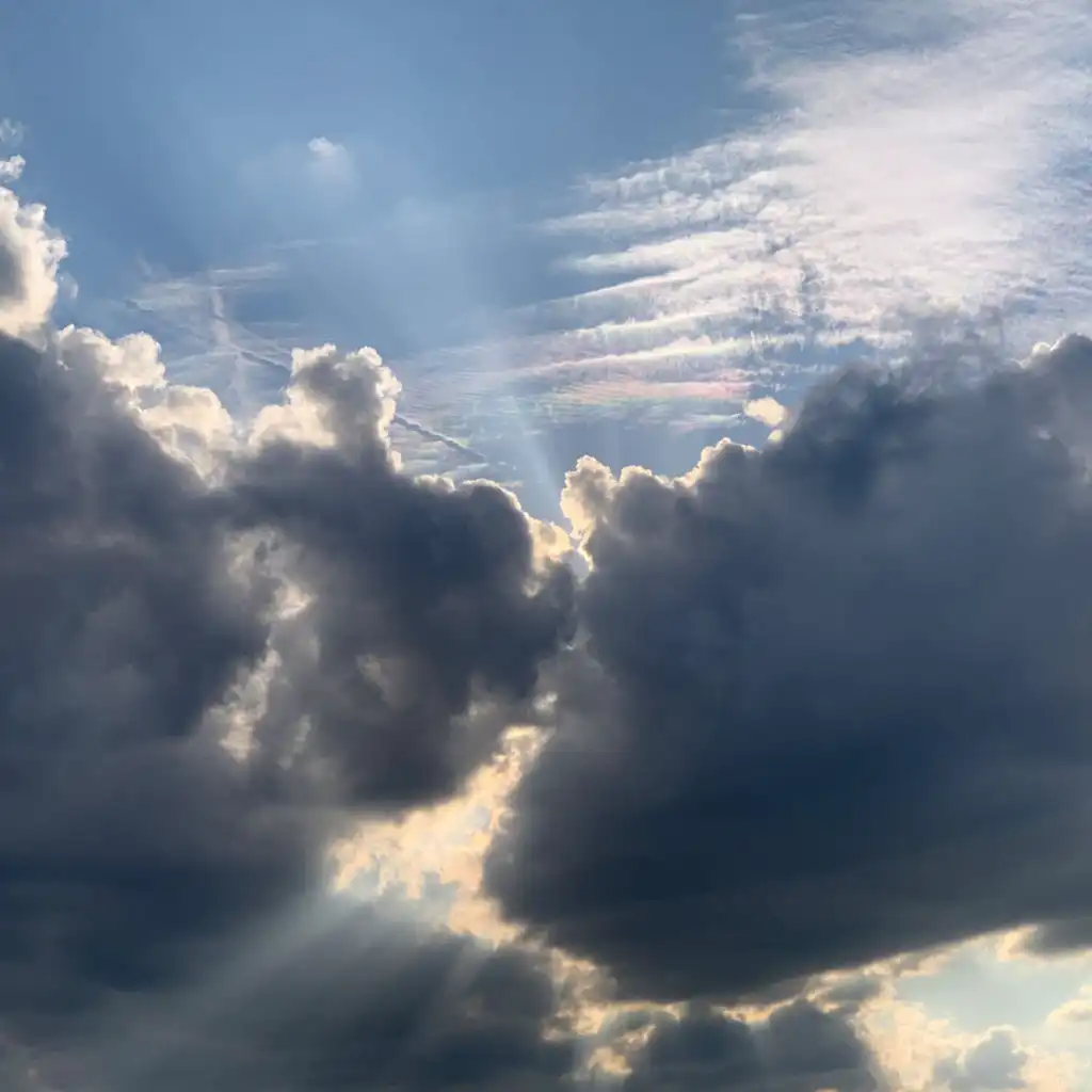 header-image