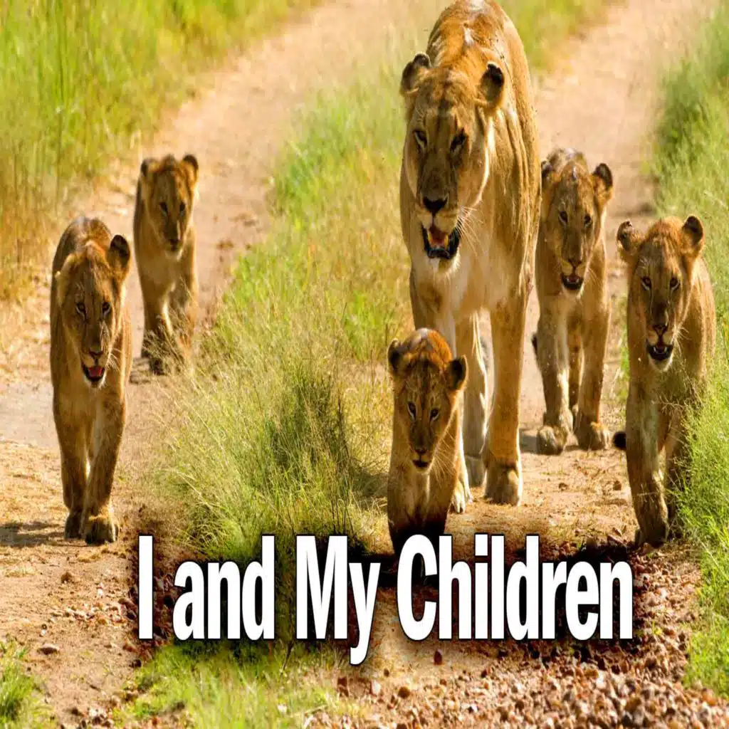 episode-header-image