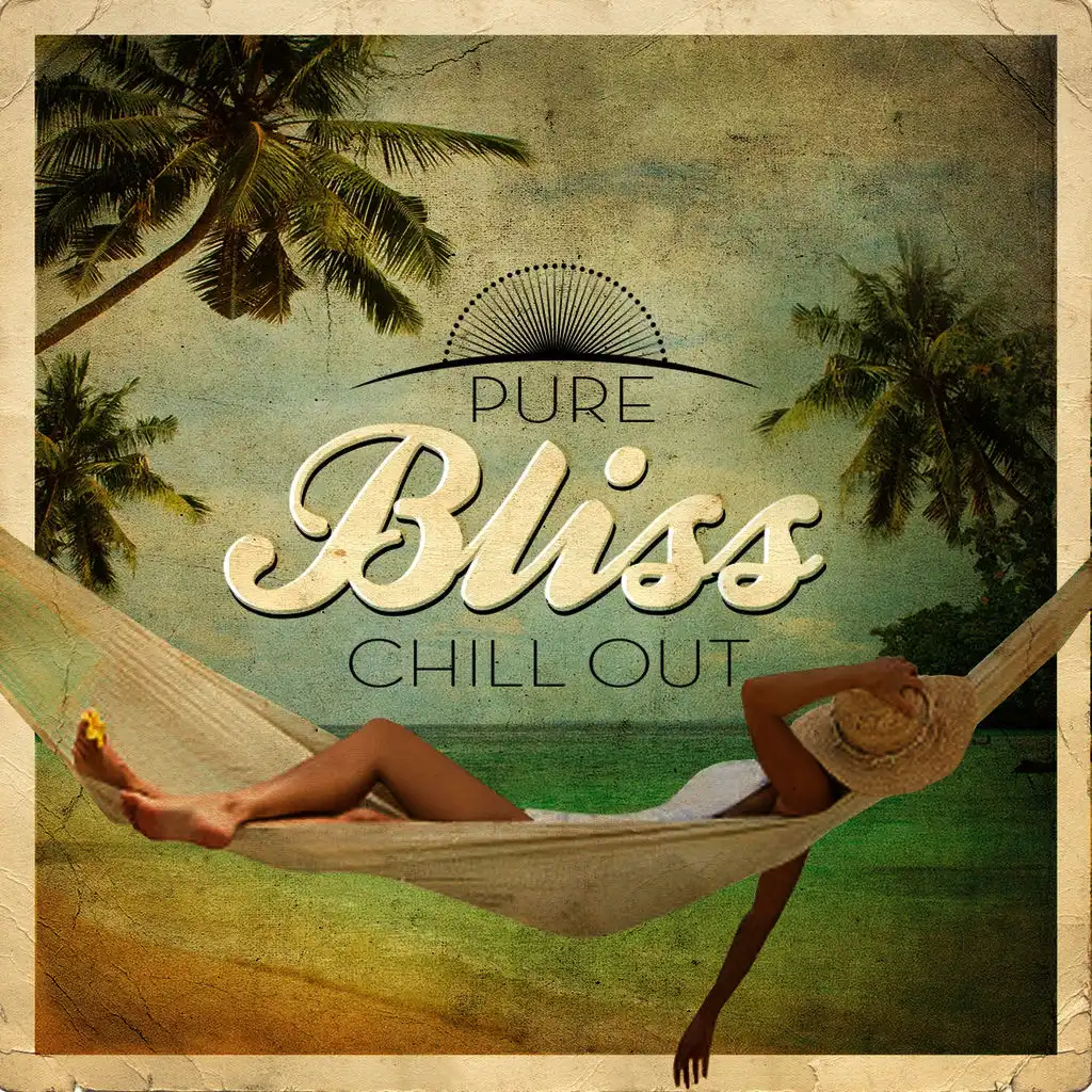 Stream Can of Bliss music  Listen to songs, albums, playlists for