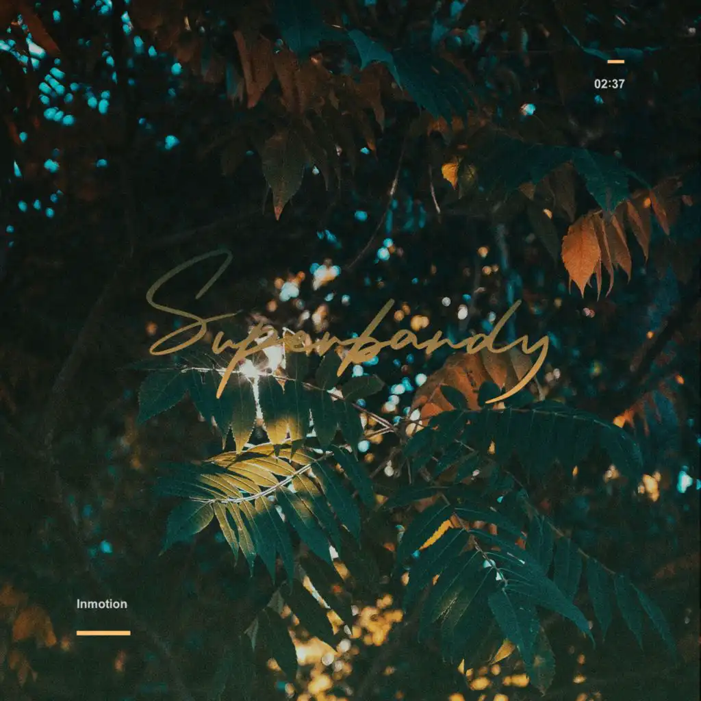 header-image
