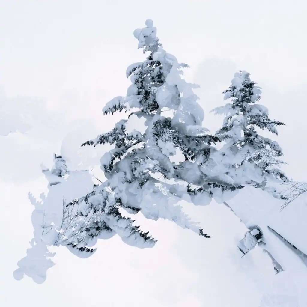 artist-header-image