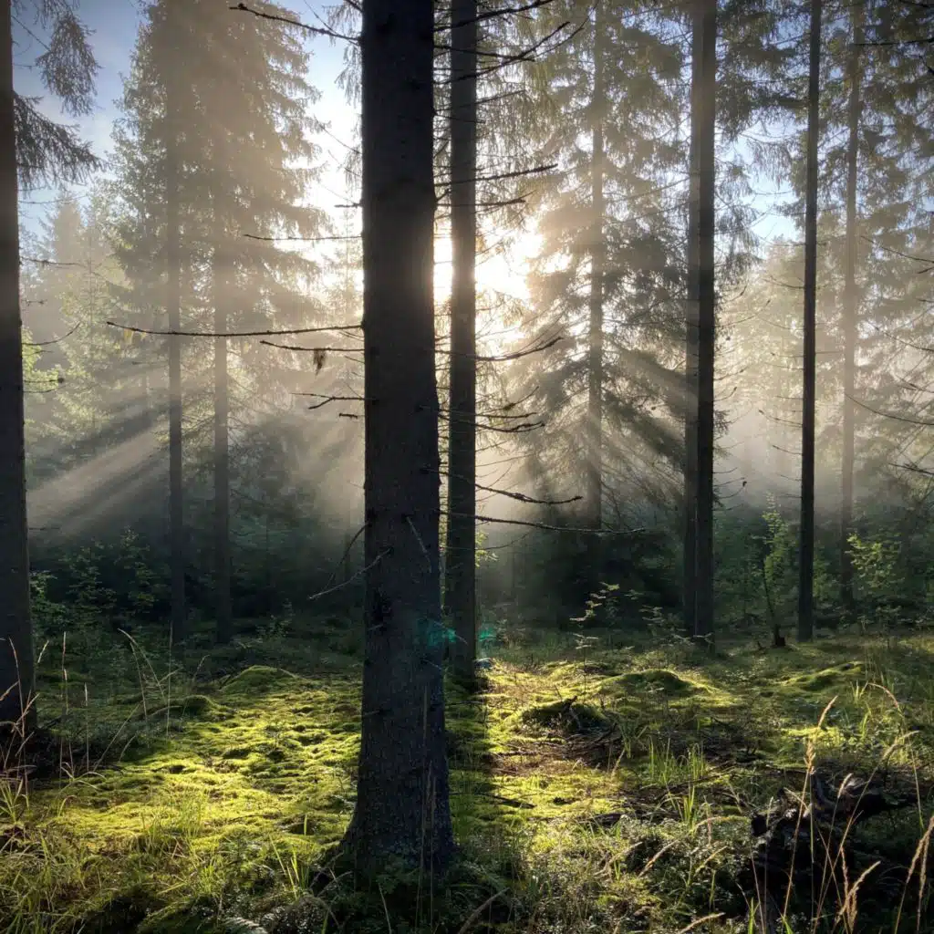header-image