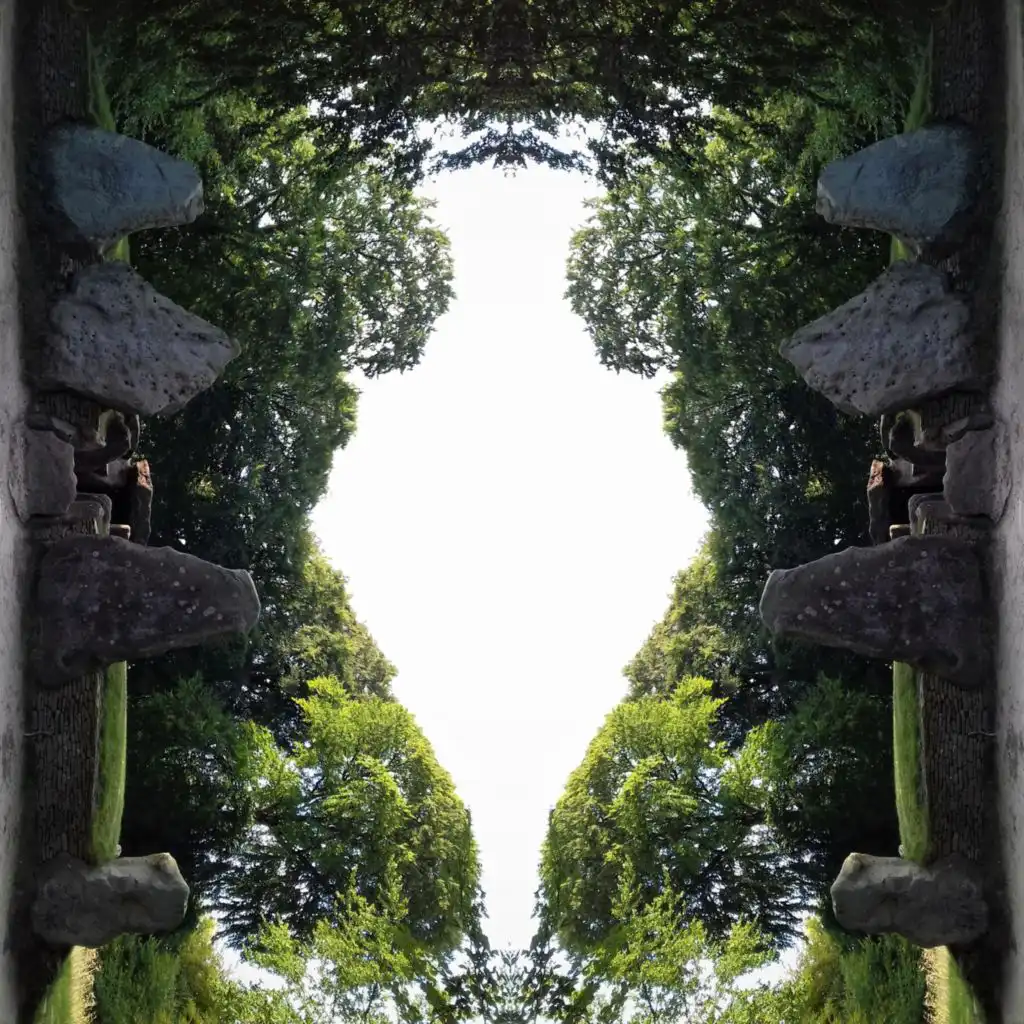 header-image