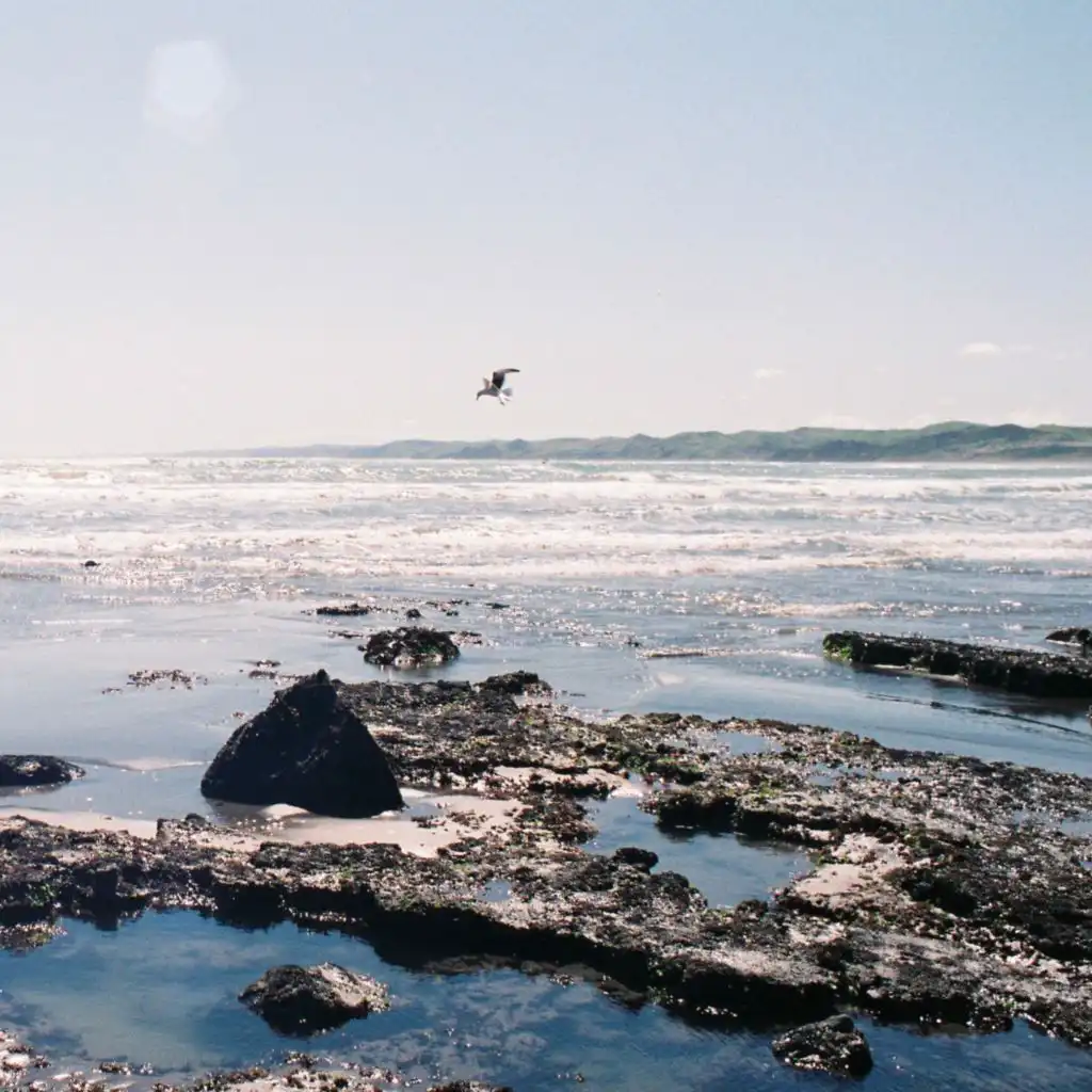 artist-header-image