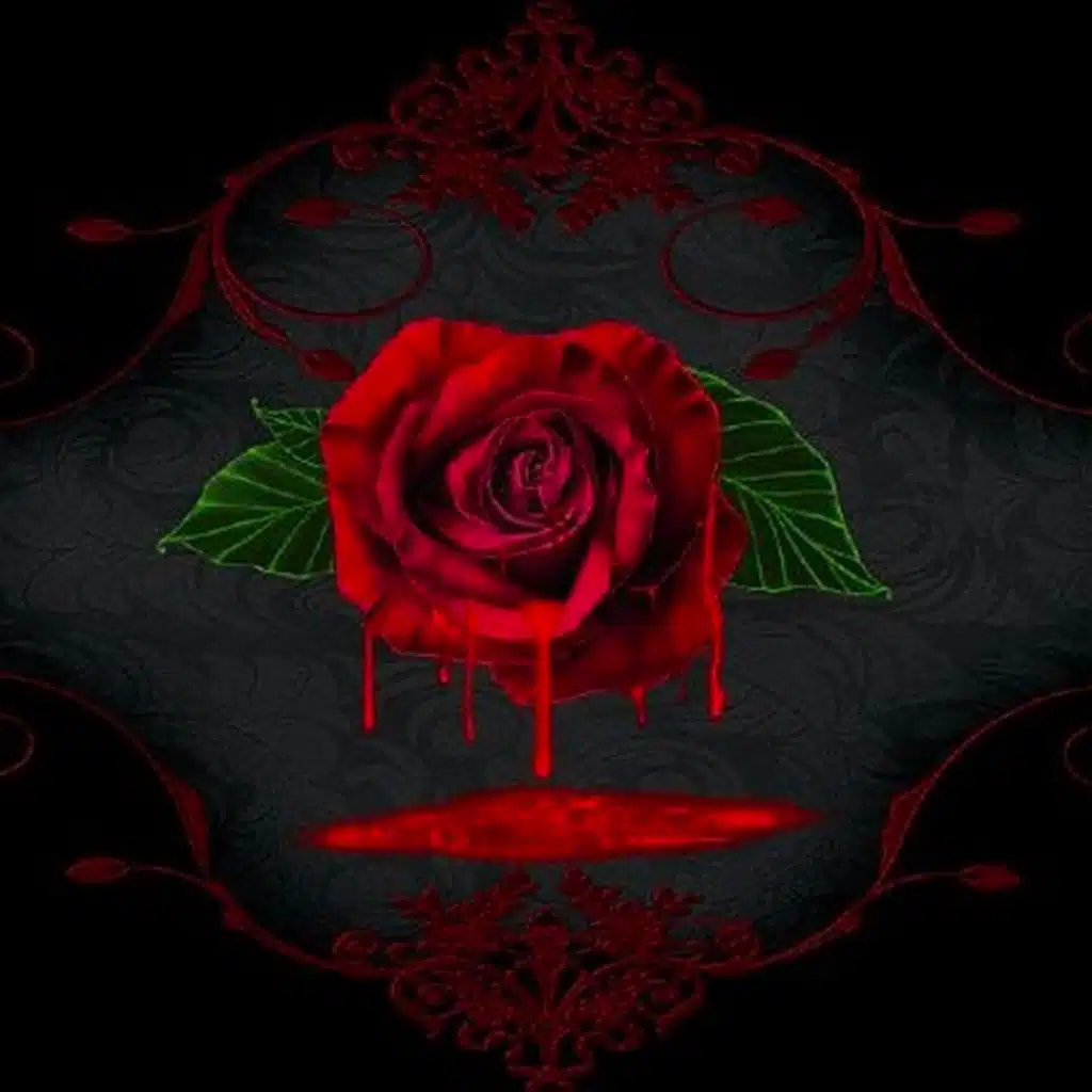 artist-header-image
