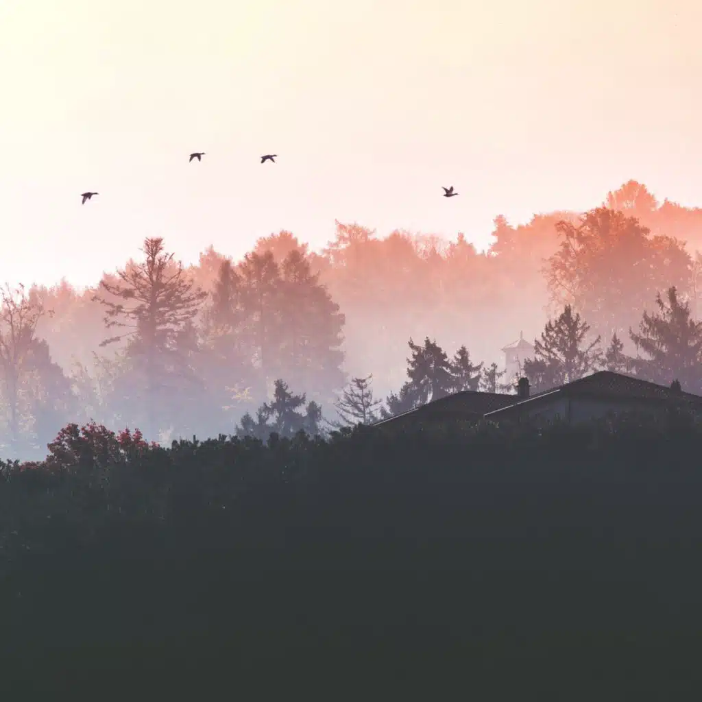header-image