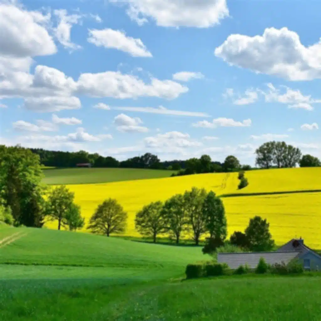 episode-header-image